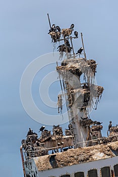 Shipwreck Zeila near Henties Bay on the Skeleton Coast of Namibia