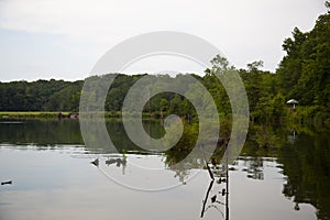 Shipwrecks in Mallows Bay