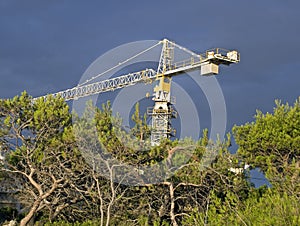 Shipyard crane