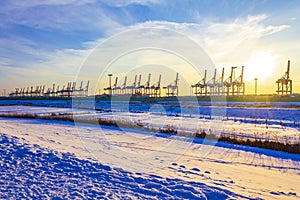 Shipyard cranes shipyard crane sunset winter container port Bremerhaven Germany