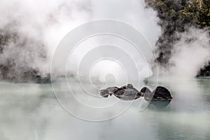 Shiraike Jigoku White Pond Hell is one of the tourist attractions representing the various hells at Beppu Onsen, Oita, Japan