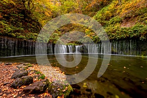 Shiraito fall in colorful autumn season.