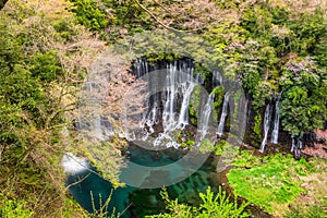 Shiraito Falls, Fujinomiya, Japan photo