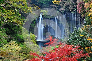 Shiraito Falls Japan Colorful Autumn photo