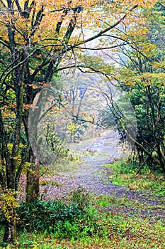 The Shiraito Natural Park in Fujinomya, Japan.