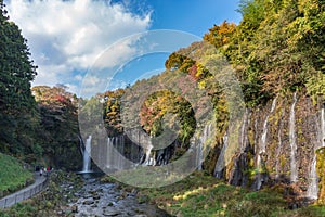 Shiraito Waterfall in autumn season with green and red maple tree and blue sky.