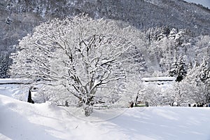 Shirakawa-go Village