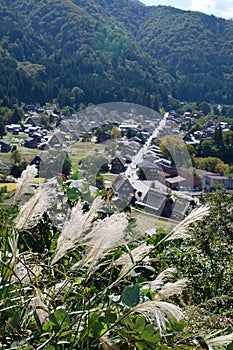 Shirakawa Historical Japanese. Shirakawago village in autumn from aerial view. House build by wooden with roof gassho zukuri style