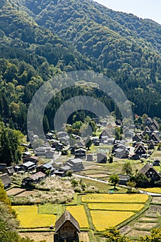 Shirakawa Historical Japanese. Shirakawago village in autumn from aerial view. House build by wooden with roof gassho zukuri style