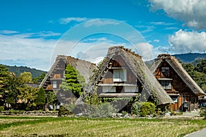 Shirakawa Traditional and Historical Japanese village Shirakawago in autumn. House build by wooden with roof gassho zukuri style.