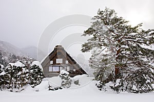 Shirakawago with Snowfall and winter Sun, Gifu Chubu Japan