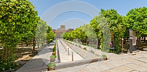 Shiraz Citadel garden panorama