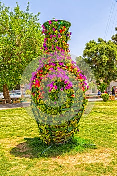 Shiraz flowers in the park