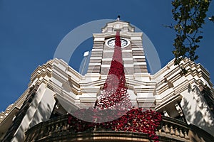 Shire Council building with cascade of crocheted/knitted poppies for Anzac memorial services