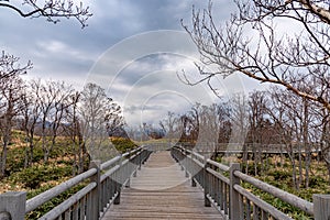 Shiretoko Goko Five Lakes in Shiretoko National Park. Tourists walking boardwalk. Shari, Hokkaido, Japan