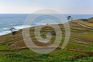 Shiroyone Senmaida Rice Terraces along the coast of Ishikawa