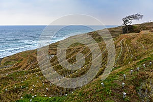 Shiroyone Senmaida Rice Terraces along the coast of Ishikawa, Japan