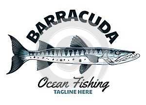 Shirt Design of Barracuda Fishing photo