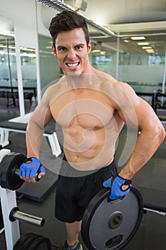 Shirtless young muscular man lifting weight in gym