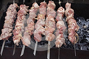 shish kebab