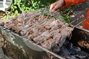 Shish kebab