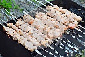 Shish kebab