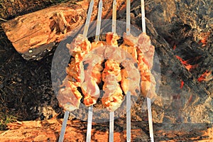 The shish kebab from chicken