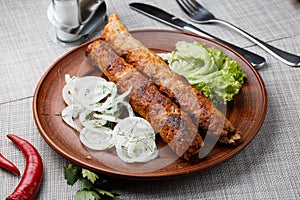 Shish kebab from ground beef meat. Lula kebab with white onion and salade, traditional Caucasian dish. Lined on a beautiful clay