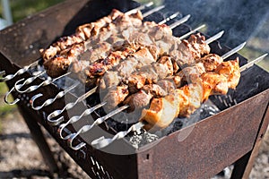 Shish kebab of the pork and chiken