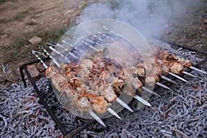 Shish kebab, shashlik on the grill