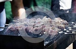 Shish kebab on skewer with