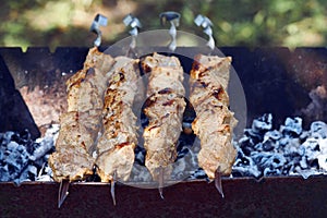 Shish kebab on skewers