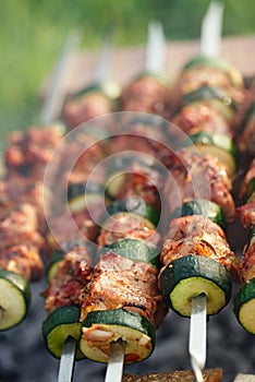 Shish kebab with vegs and mix of spices on bbq