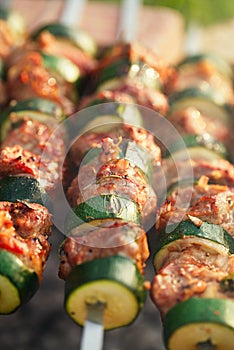 Shish kebab with vegs and mix of spices on bbq