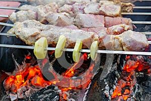 Shish kebabs on fire, baked meat on skewers on the grill