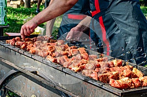 Shish Kebabs on the Grill