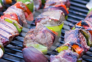 Shish Kebabs on Grill photo