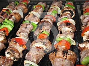 Shish Kebabs on the Grill