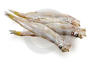 Shishamo, japanese smelt with roe