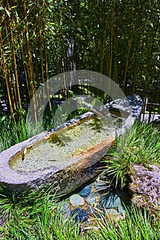 Shishi odoshi stone canoe with colorful cobblestones in Japanese Tea Garden surrounded by bamboo