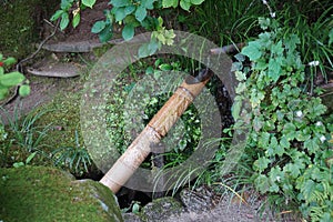 A Shishi odoshi at a temple garden in Kyoto.