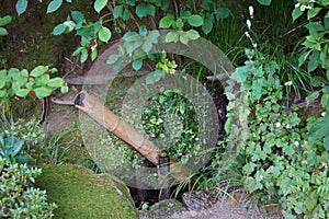 A Shishi odoshi at a temple garden in Kyoto.