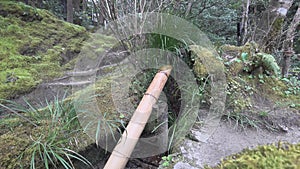 A Shishi odoshi at a temple garden in Kyoto.