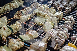 Shishkabob being grilled on a grille