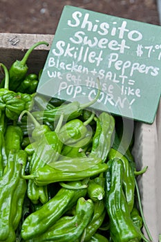 Shisito Sweet Skillet Peppers at Farm Market