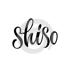 Shiso - vector hand drawn calligraphy style lettering word.