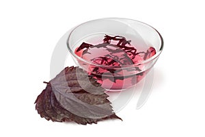 Shiso vinegar with fresh red shiso leaf