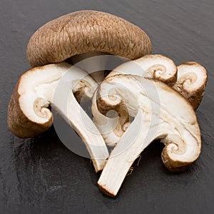 Shitake Mushrooms