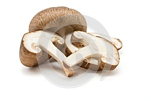Shitake Mushrooms