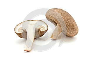 Shitake Mushrooms